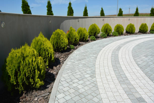 Best Driveway Paving Contractor  in Glen Ellen, CA